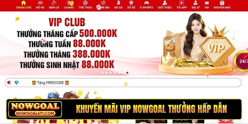 Khuyến mãi VIP Nowgoal với cơ chế thưởng hấp dẫn