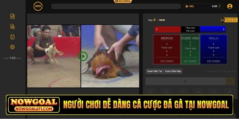 Người chơi dễ dàng cá cược đá gà tại nhà cái Nowgoal
