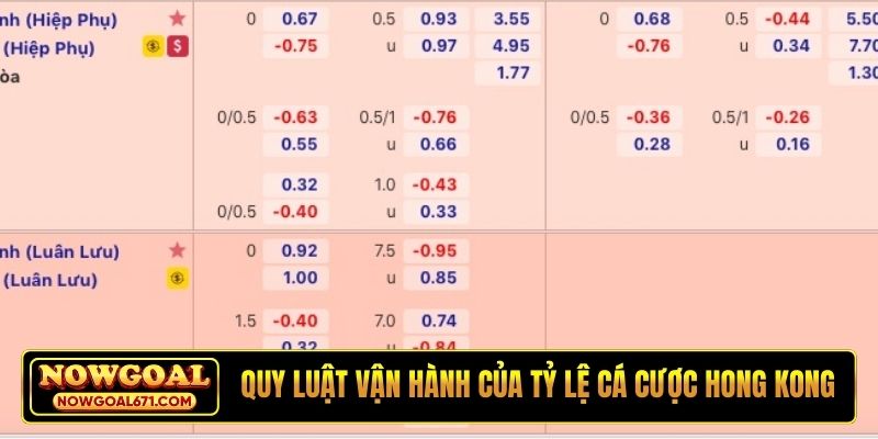 Quy luật vận hành của tỷ lệ cá cược Hong Kong